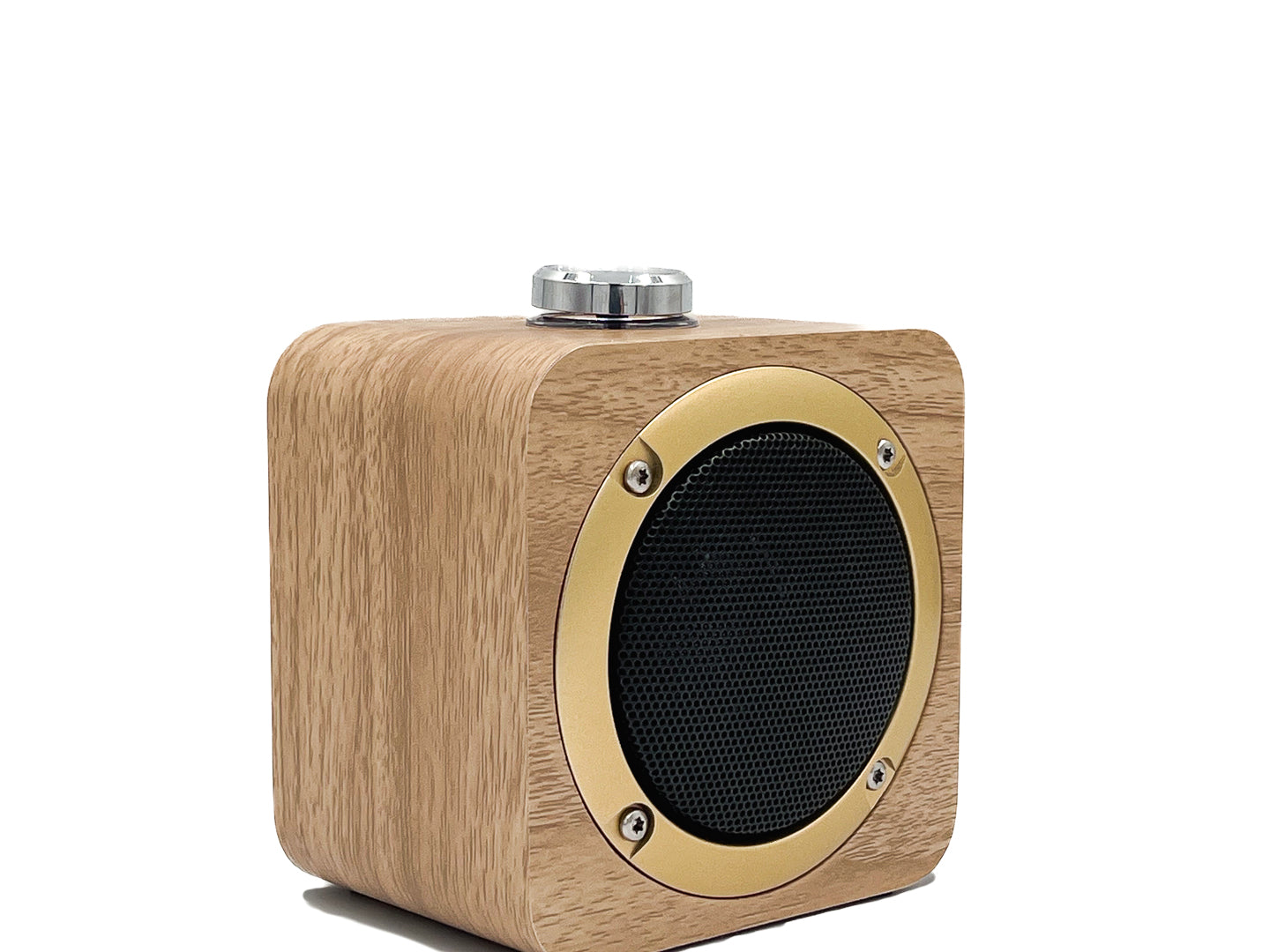 ENCEINTE PORTABLE