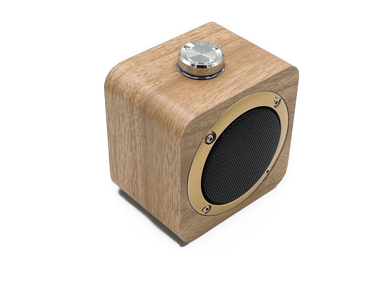 ENCEINTE PORTABLE